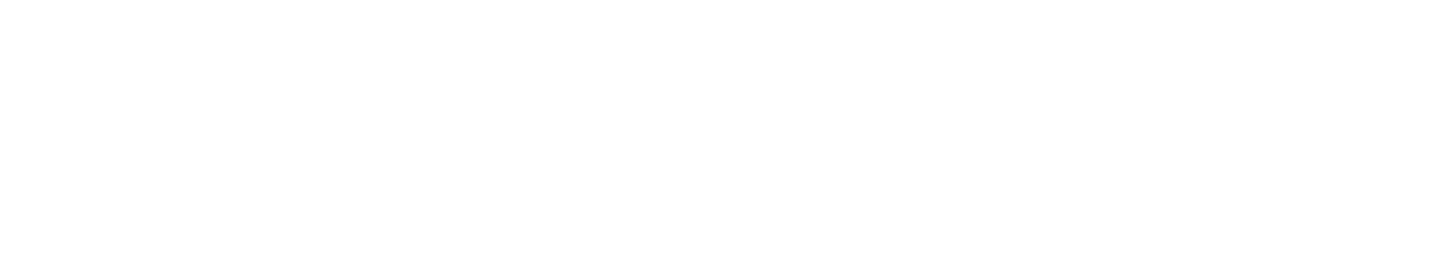 iD_Logo_Schrift_White